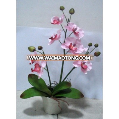 The butterfly Orchid with Plasitc Bonsai