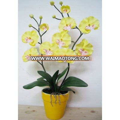 Mini Orchid Flower Bonsai